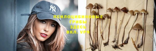винт Белокуриха