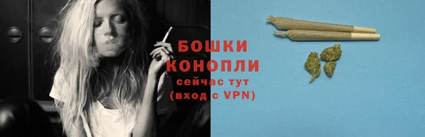 мяу мяу мука Беломорск