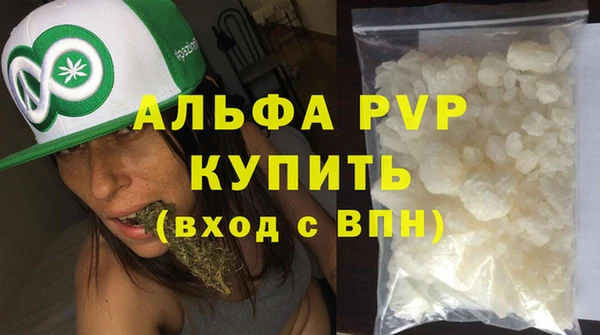 индика Бронницы